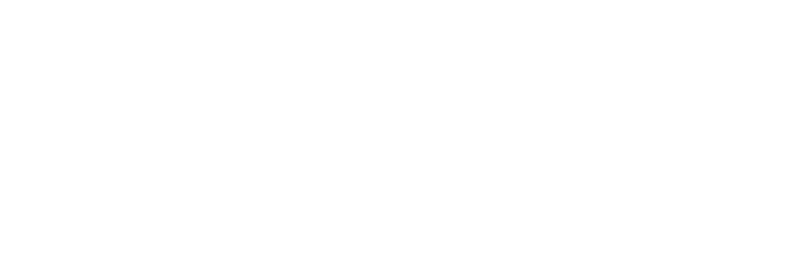   Se fixe sur tout type de boule d attelage (universel)  - Bloque l ouverture des portes arrière sur véhicule utilita   