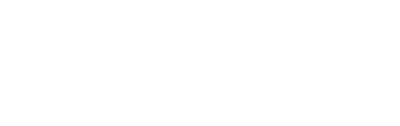   Kan op elk type trekhaakkogel worden gemonteerd (universeel)  - Blokkeert het openen van de achterdeuren van bedrij   